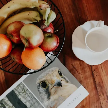 Ranc Jures * 류토메르