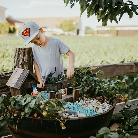 아파트 Ranc Jures